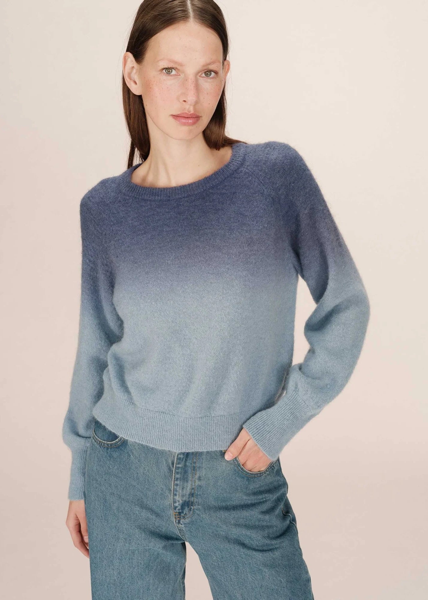 Sacramento Pull Sweater Blue