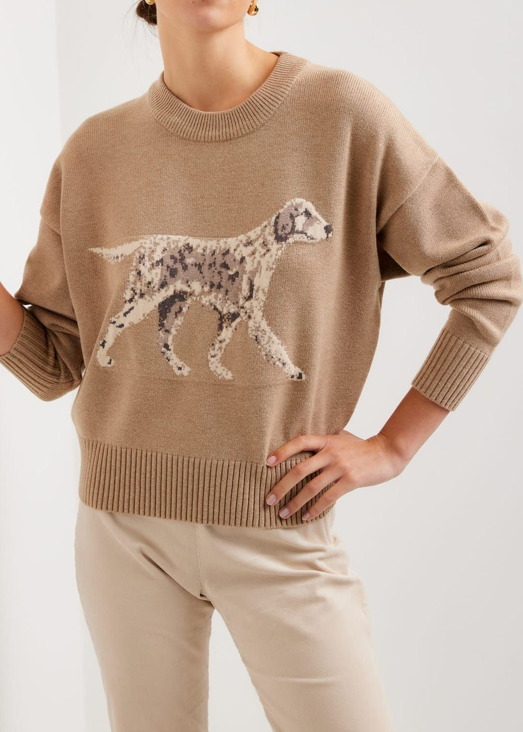 Intarsia Sweater