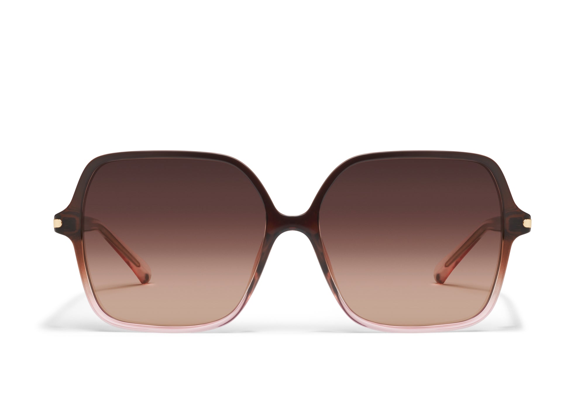 Quay Sunnies - Press Tour